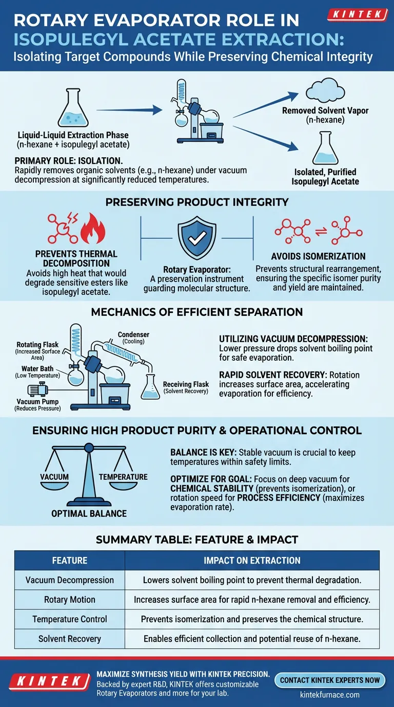 Qual é o papel de um evaporador rotativo na extração do acetato de isopulegila? Protegendo a Pureza e a Estabilidade Guia Visual