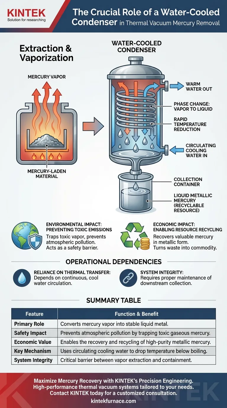 Qual è lo scopo di un condensatore raffreddato ad acqua in un apparecchio di rimozione del mercurio sotto vuoto termico? Chiave per un recupero sicuro Guida Visiva