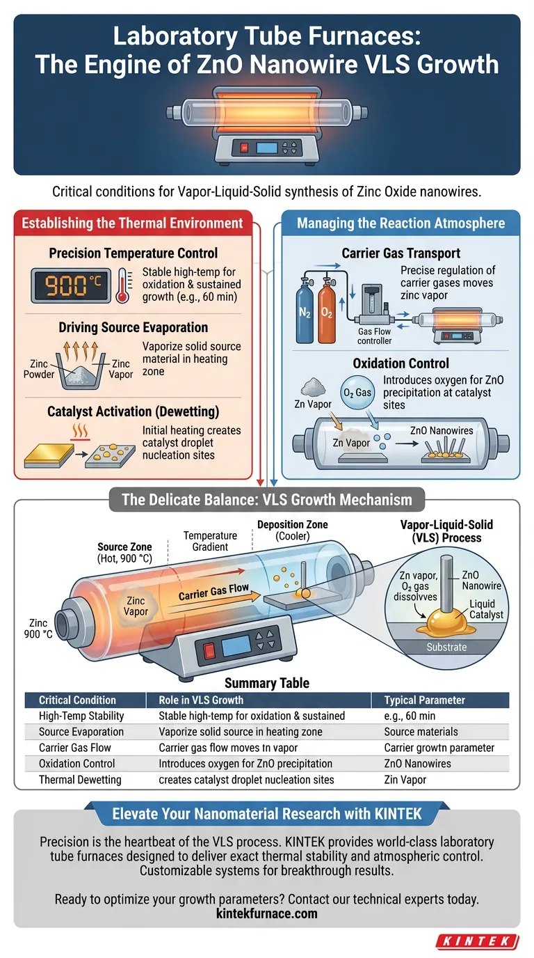 实验室管式炉为 ZnO 纳米线的 VLS 生长提供了哪些关键条件？掌握纳米尺度合成 图解指南