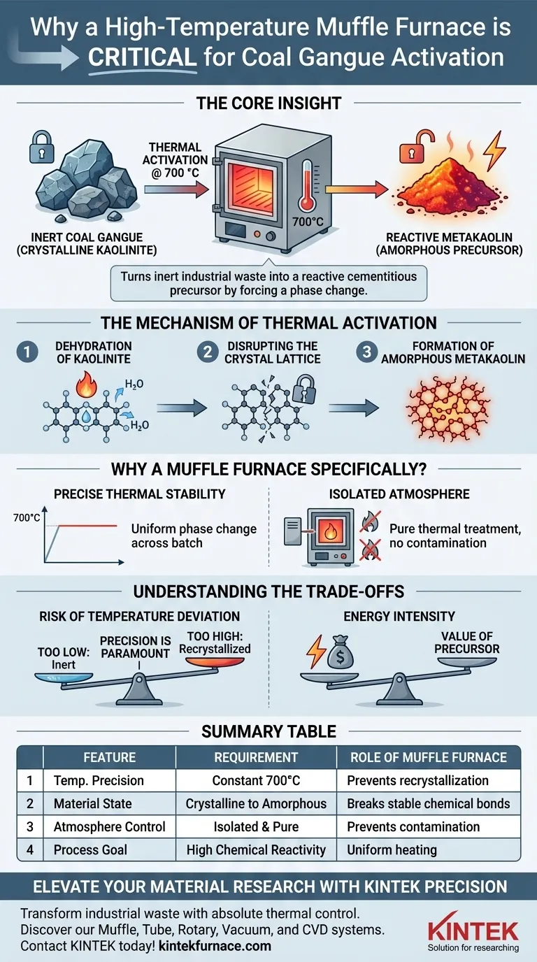 Por que um forno mufla de alta temperatura é necessário para a ativação da ganga de carvão? Desbloqueie a Reatividade Máxima do Material Guia Visual