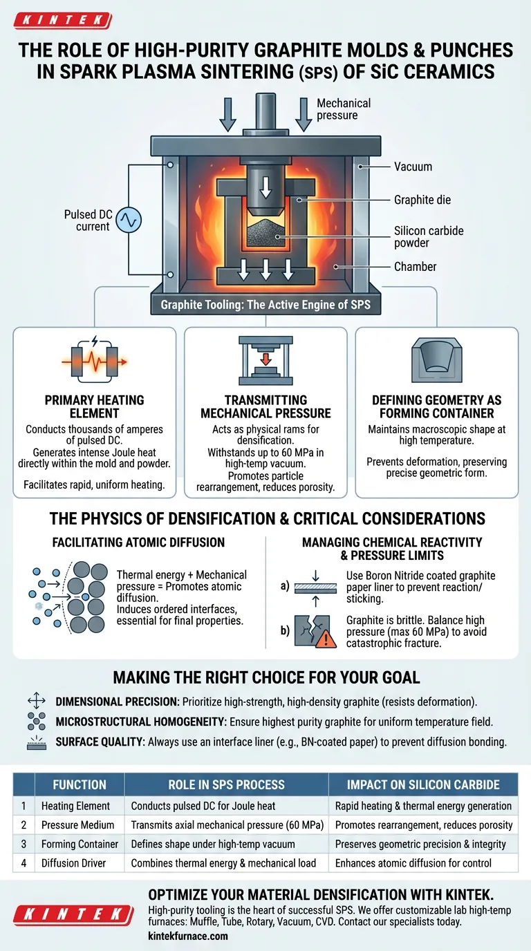 Welche Rolle spielen hochreine Graphitformen und Stempel beim Sintern von Siliziumkarbidkeramiken im SPS-Verfahren? Visuelle Anleitung