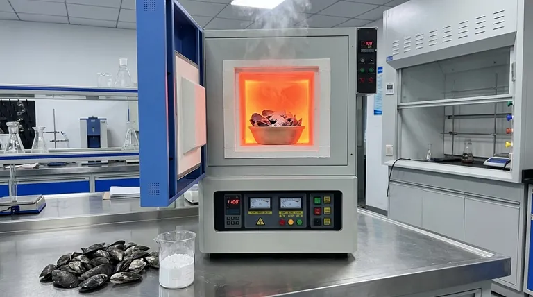 Como um forno mufla de caixa de alta temperatura converte conchas de ostra em óxido de cálcio? Guia Especializado de Calcinação