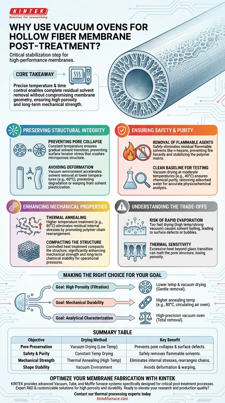 중공 섬유 멤브레인 후처리 시 진공 오븐 사용 목적은 무엇인가요? 구조적 무결성 보장 시각적 가이드