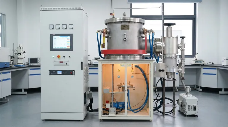 使用真空扩散退火炉进行合金热力学平衡研究有何意义?