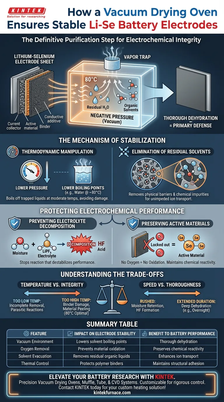 真空干燥箱如何有助于稳定锂硒电池电极？确保纯度和性能 图解指南
