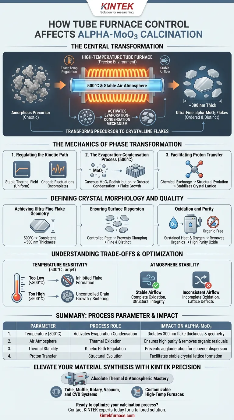 고온 튜브로의 환경 제어가 알파-MoO3 분말의 하소에 어떤 영향을 미칩니까? 시각적 가이드