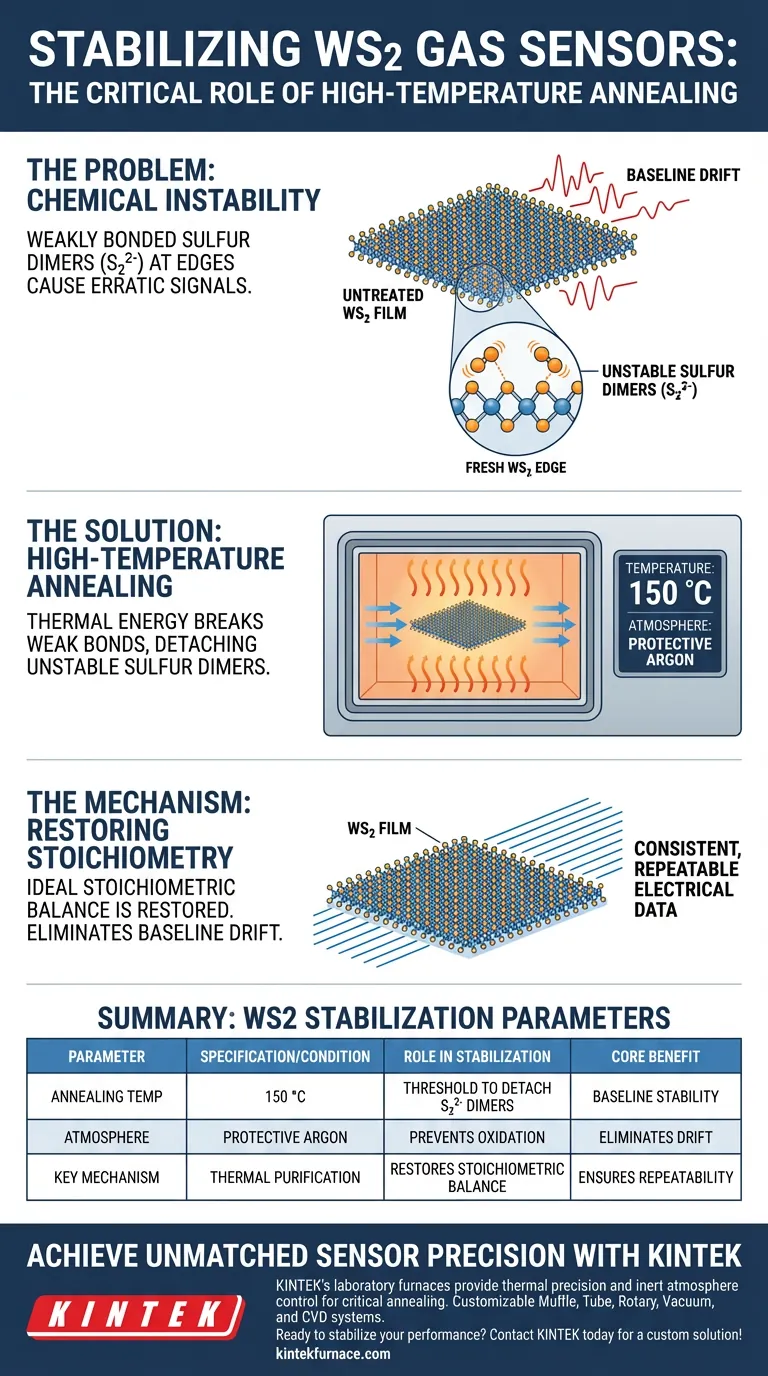 为什么 WS2 气体传感器需要高温退火？稳定性能并消除漂移 图解指南