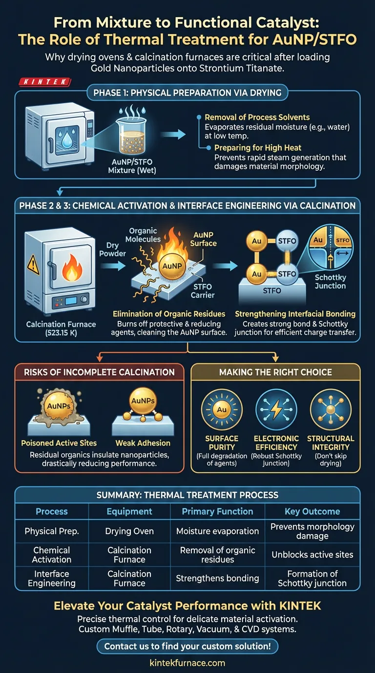 Почему для AuNP на STFO требуются сушильные печи и печи для прокаливания? Оптимизируйте активацию вашего катализатора Визуальное руководство