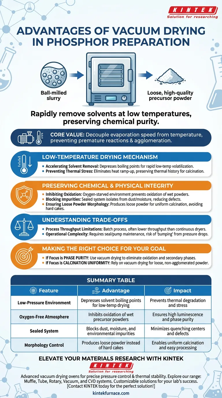 在荧光粉制备过程中使用真空干燥箱有哪些优点？立即实现更高纯度 图解指南