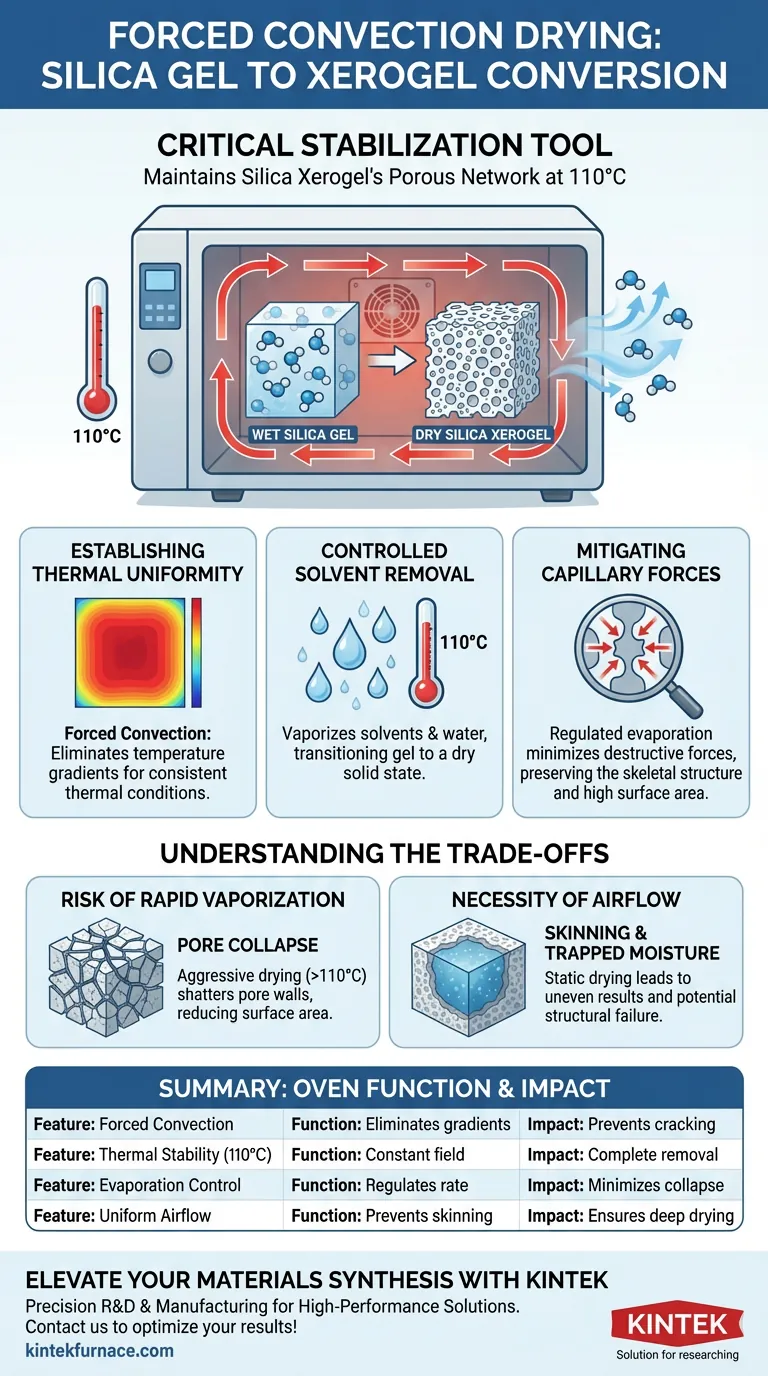 硅气凝胶强制对流烘箱的功能是什么？实现卓越的孔隙率和稳定性 图解指南