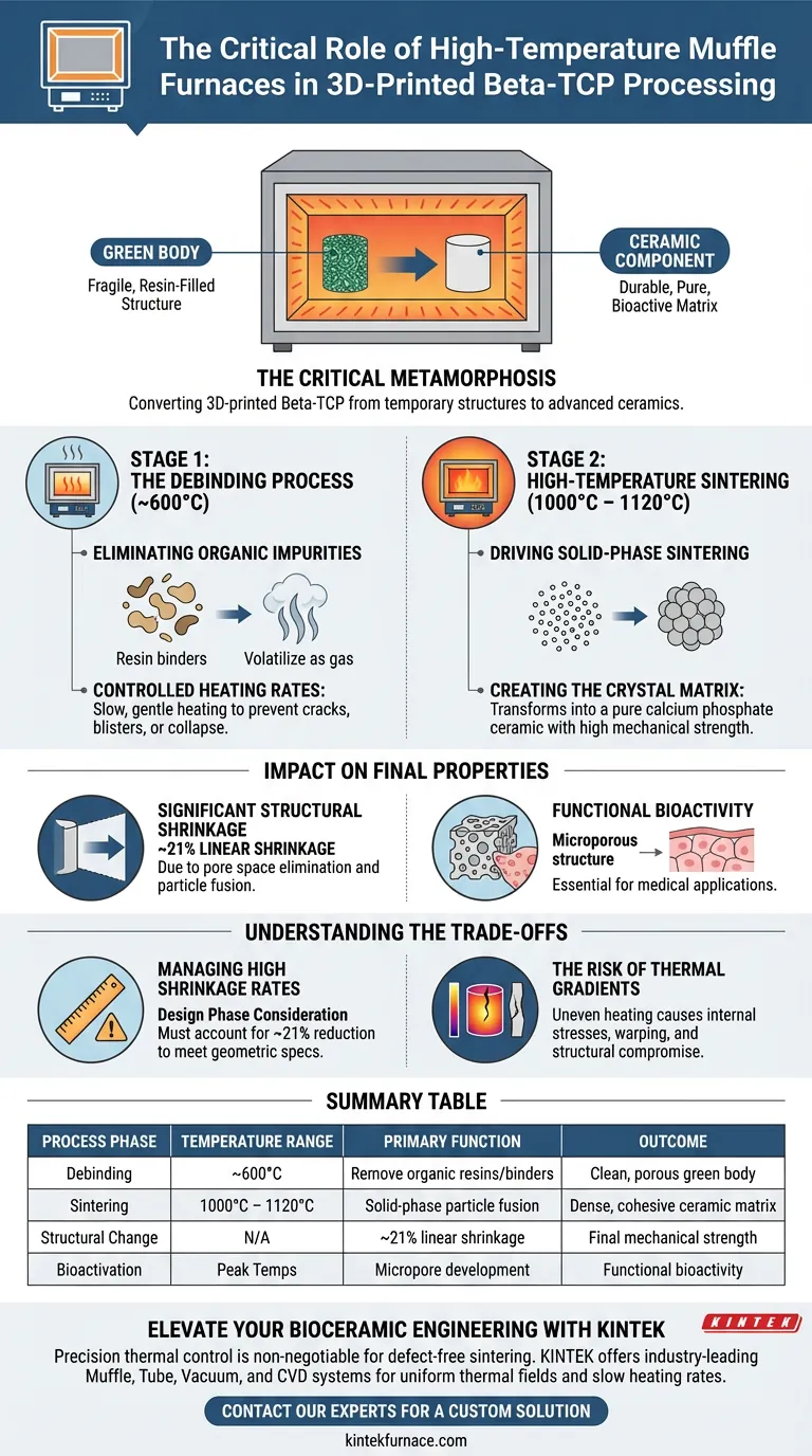 ¿Qué papel juegan los hornos mufla en el sinterizado de beta-TCP impreso en 3D? Optimice los resultados de sus biocerámicas Guía Visual
