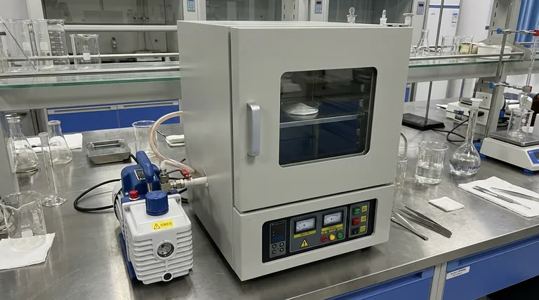 实验室真空干燥箱在处理过滤后的Y2O3-MgO前驱体中扮演什么角色?专家见解