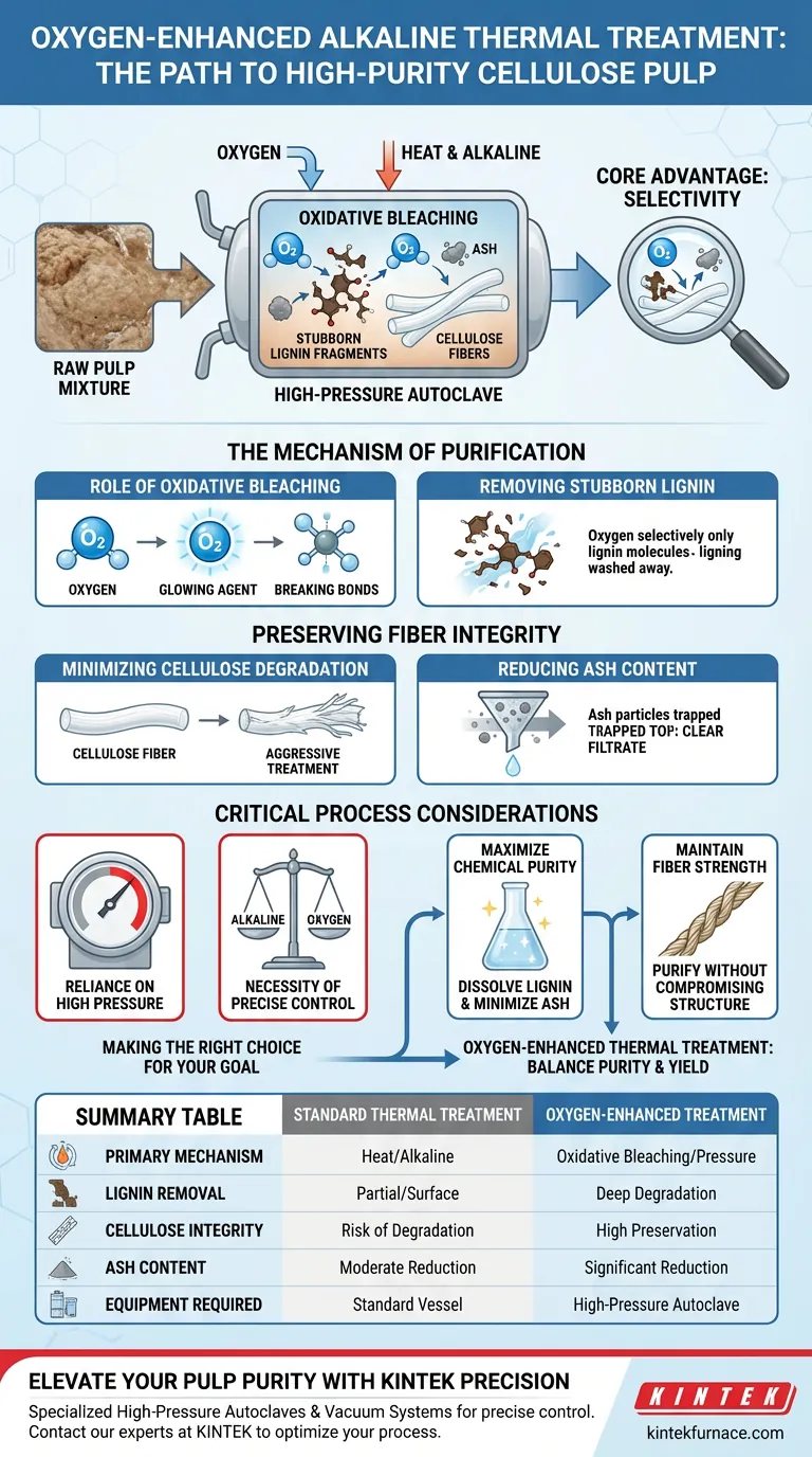 富氧碱法热处理如何提高高纯纤维素浆的性能？实现卓越的纤维得率 图解指南