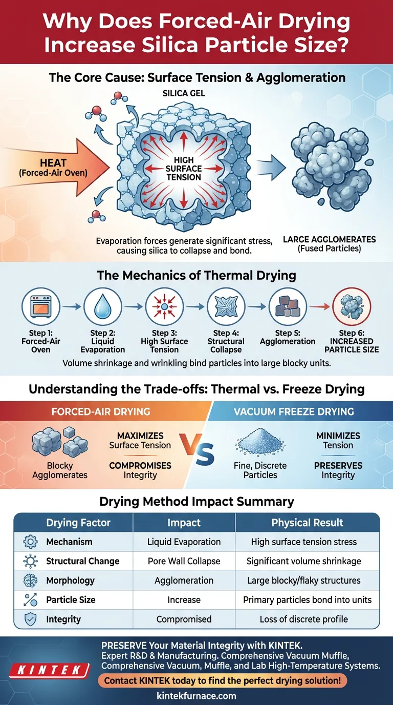 Perché l'uso di un forno di essiccazione ad aria forzata porta spesso a un aumento delle dimensioni delle particelle? Evitare l'agglomerazione della silice Guida Visiva