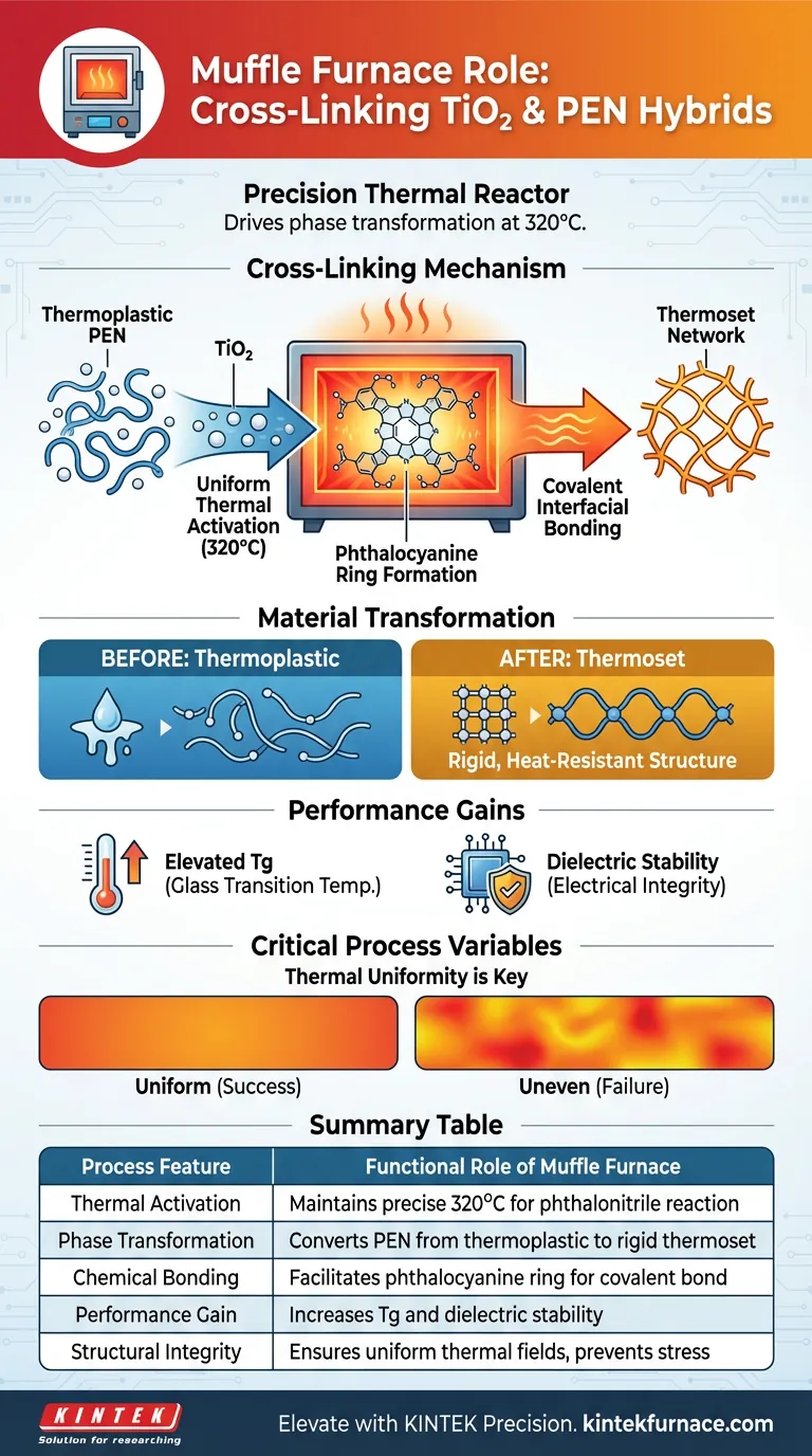 Welche Rolle spielt eine Hochtemperatur-Muffelofen bei der Vernetzung von TiO2 und PEN? Hochleistungs-Hybride erschließen Visuelle Anleitung