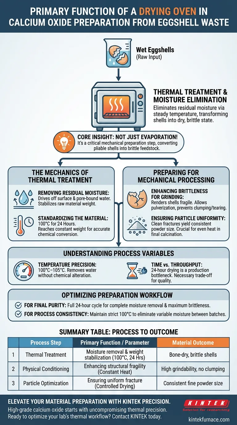 从蛋壳废料制备氧化钙的过程中，干燥箱的主要功能是什么？最大化纯度 图解指南