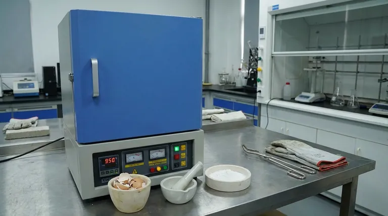 Qual é o papel central de um forno mufla na síntese de óxido de cálcio a partir de cascas de ovo? Alcançar CaO de alta pureza