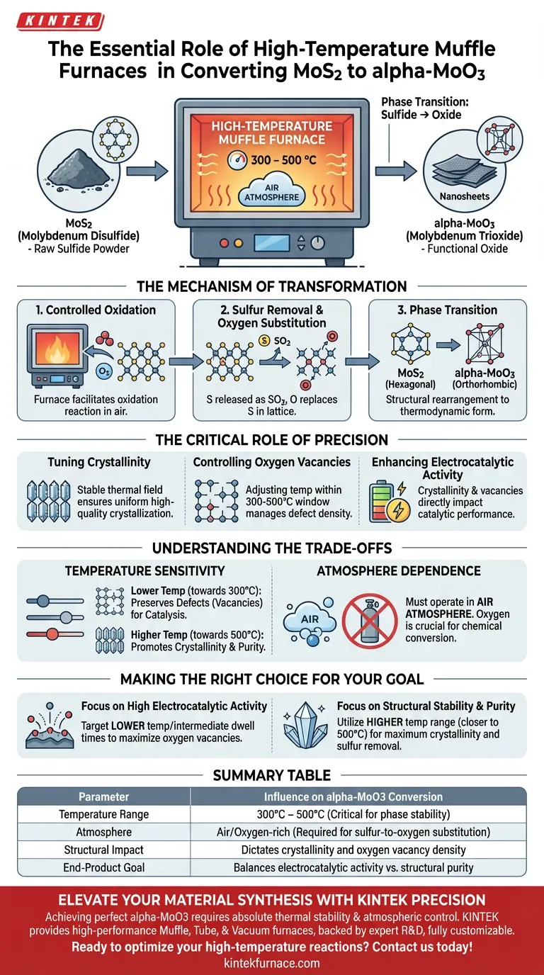 Quale ruolo svolge una muffola ad alta temperatura nel processo di conversione del MoS2 in alfa-MoO3? Guida Visiva