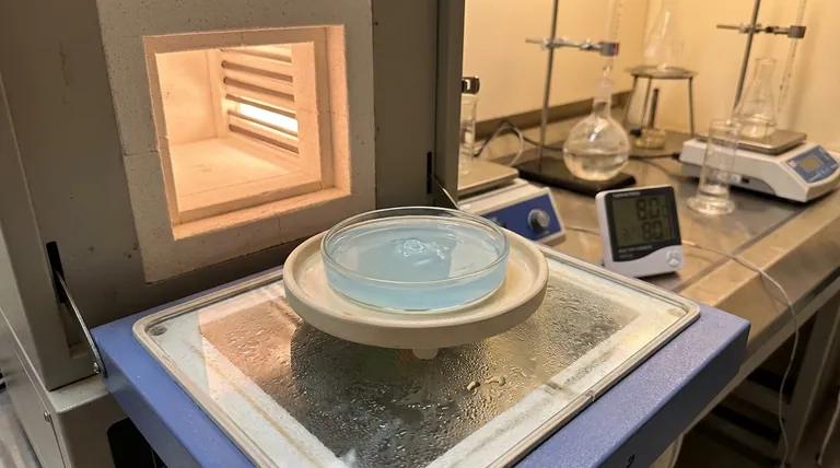 Qual è la funzione principale di un forno di essiccazione a temperatura costante? Master S53P4 Bioactive Glass Gel Integrity