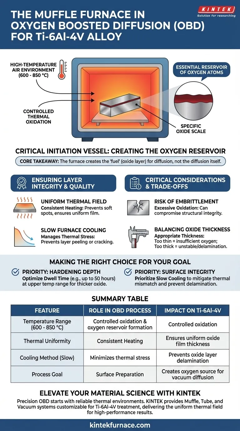 What role does a muffle furnace play in the OBD process for Ti-6Al-4V? Enhance Alloy Surface Hardening Precision Visual Guide
