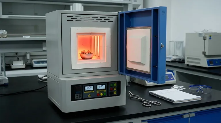 ¿Cuál es la función de un horno de alta temperatura de laboratorio tipo caja? Evolución del tratamiento térmico de la aleación maestra AlCoCrFeNi2.1