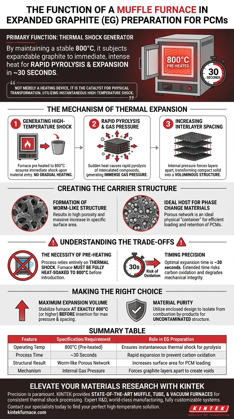 Qual é a função de um forno mufla na preparação de grafite expandido? Alcançar transportadores de PCM de alta eficiência Guia Visual