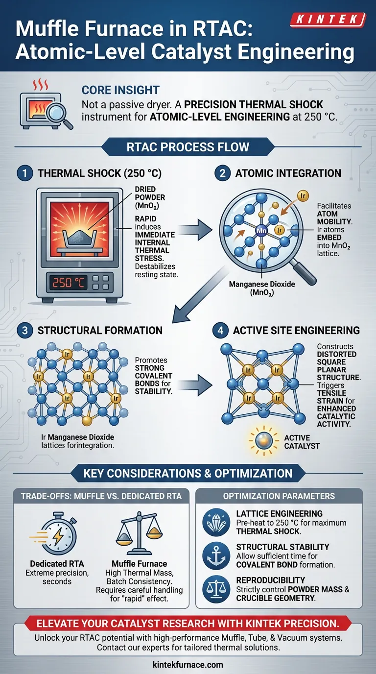 RTAC戦略におけるマッフル炉の活用方法とは？高性能触媒のための精密原子工学 ビジュアルガイド