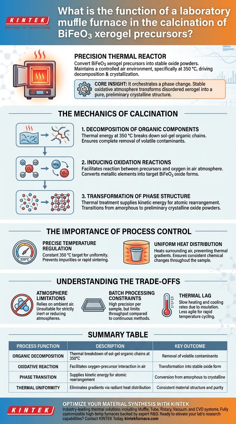 实验室马弗炉在 BiFeO3 凝胶煅烧中的功能是什么？增强相变 图解指南
