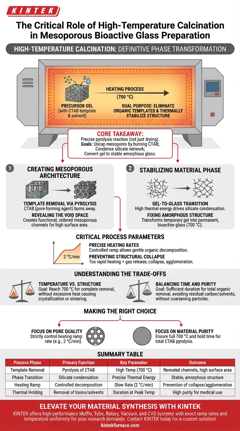 Какова роль высокотемпературного прокаливания в муфельной печи? Создание прецизионного биоактивного стекла Визуальное руководство