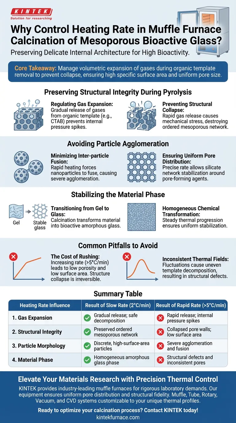 Por que é necessário controlar a taxa de aquecimento de um forno mufla durante a calcinação? Otimizar a Qualidade do Vidro Bioativo Guia Visual