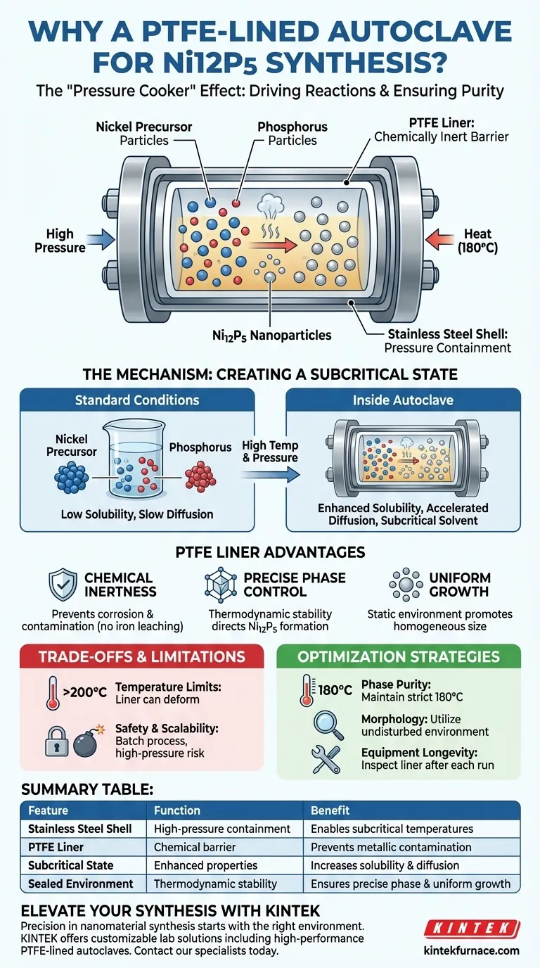 为什么使用聚四氟乙烯衬里的不锈钢高压釜合成 Ni12P5？纳米材料生产的关键优势 图解指南