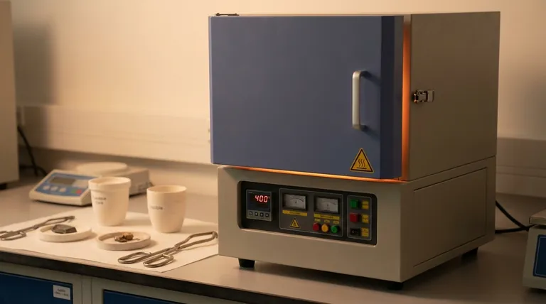 受控热处理如何影响δ-MnO2?优化孔隙率和表面积以提高电池性能