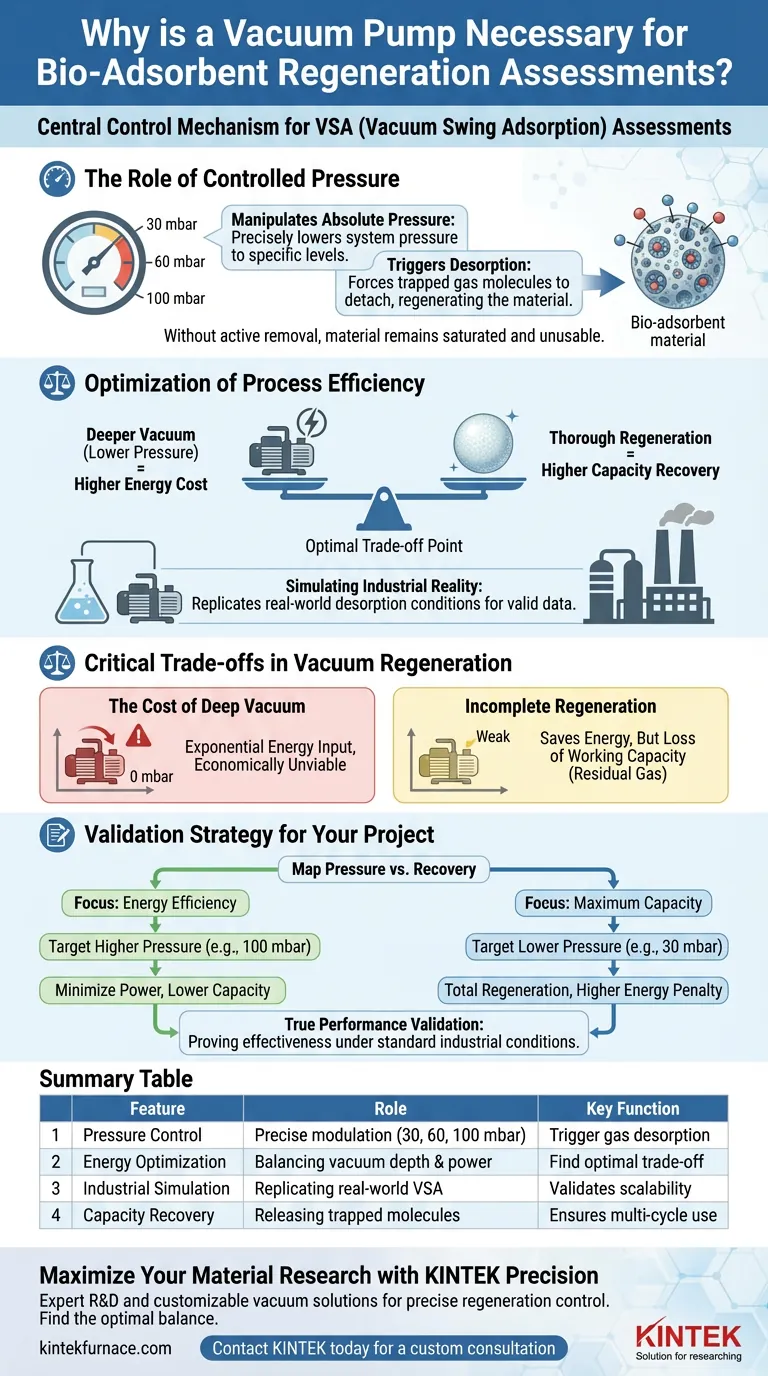 Warum ist eine Vakuumpumpe für die Leistungsbewertung von Bioadsorbentien unerlässlich? Sicherstellung der industriellen Rentabilität in VSA Visuelle Anleitung