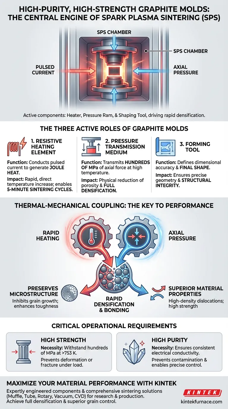Quali ruoli svolgono gli stampi in grafite ad alta purezza e ad alta resistenza nella SPS? Promuovere la densificazione e la precisione Guida Visiva