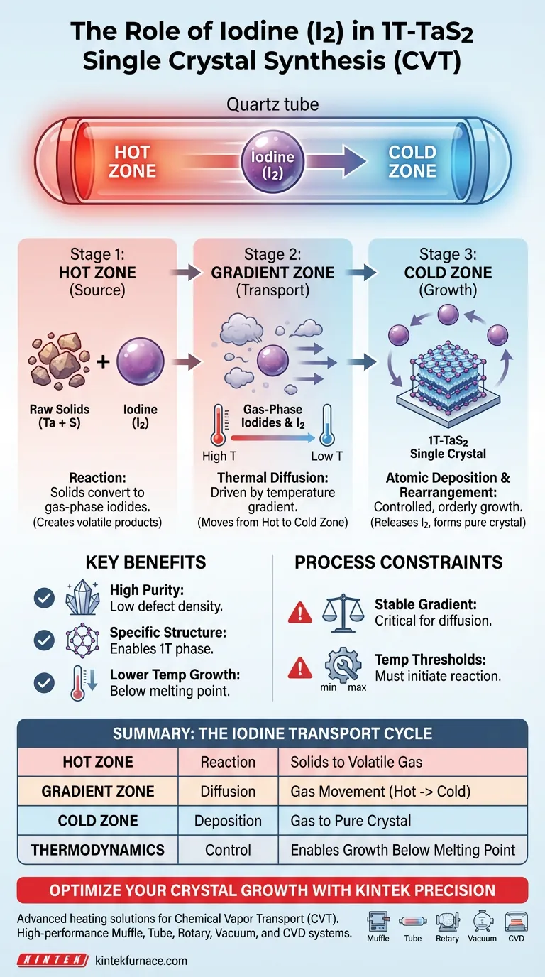 碘 (I2) 在 1T-TaS2 单晶合成中作为传输剂扮演什么角色？CVT 机制详解 图解指南