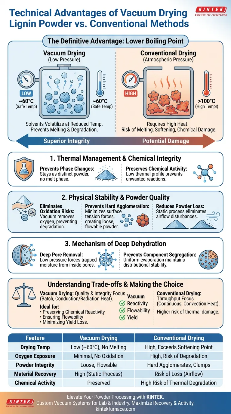 리그닌 분말에 진공 건조 오븐을 사용하는 기술적 이점은 무엇인가요? 품질 및 화학적 활성 보존 시각적 가이드