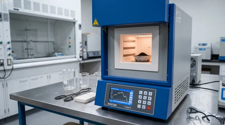 Warum wird ein programmierbarer Temperaturregel-Kammerofen für Bi-2223 benötigt? Gewährleistung der Synthese von Hochtemperatur-Supraleitern mit hoher Reinheit