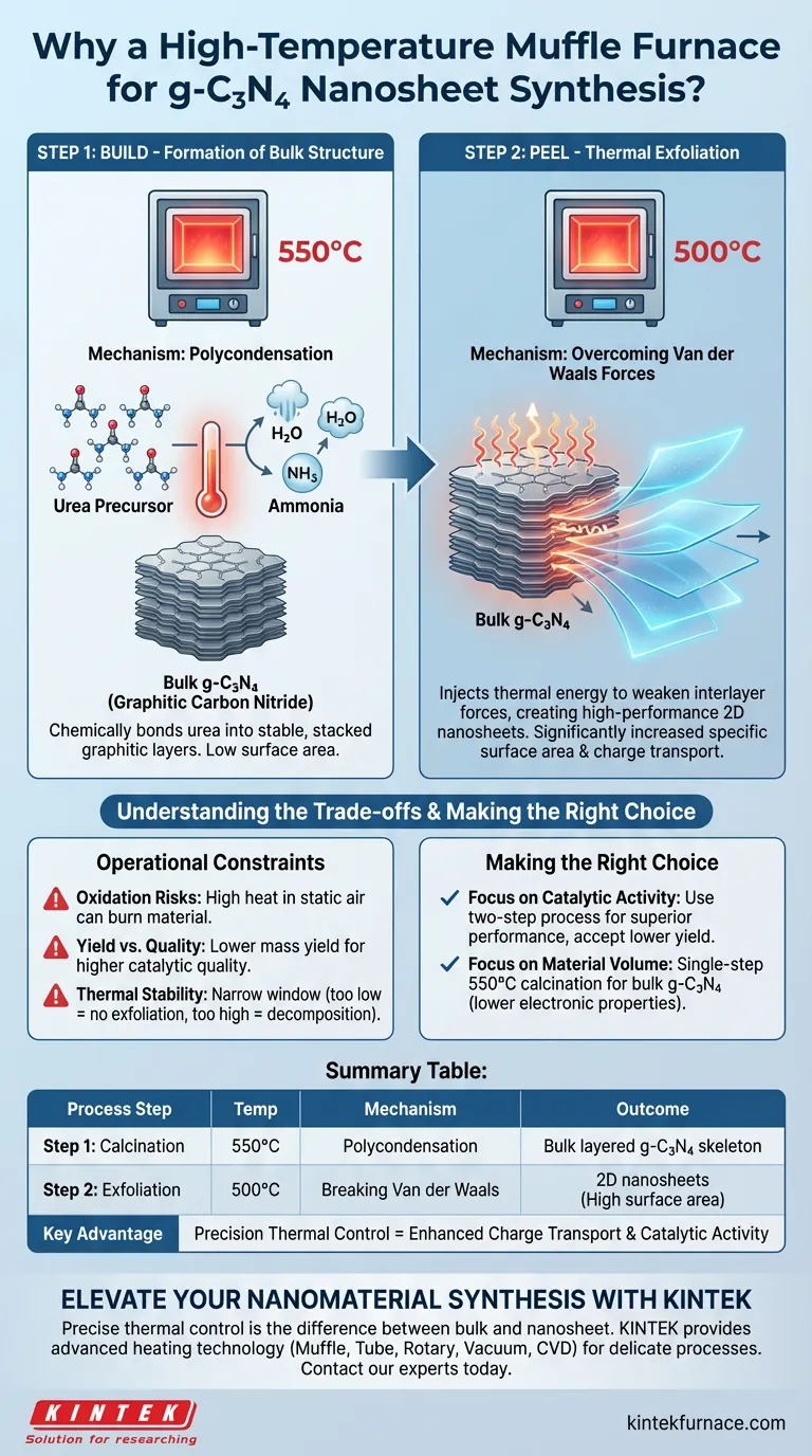 Warum wird ein Hochtemperatur-Muffelofen für die Synthese von g-C3N4-Nanosheets verwendet? Beherrschen Sie die zweistufige thermische Exfoliation Visuelle Anleitung