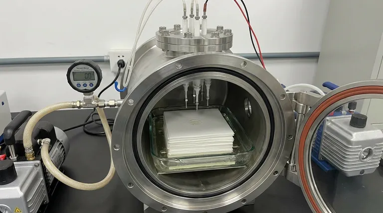 使用真空干燥器处理PU和AlN复合材料板的目的是什么?增强热和结构完整性