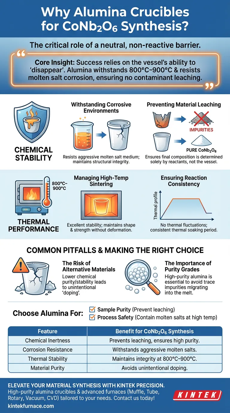 为什么在合成 CoNb2O6 时使用氧化铝坩埚？确保高纯度陶瓷粉末的生产 图解指南