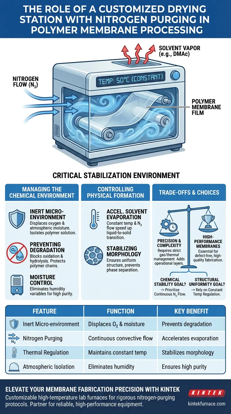 带氮气吹扫的定制干燥站的作用是什么？优化聚合物共混膜加工 图解指南