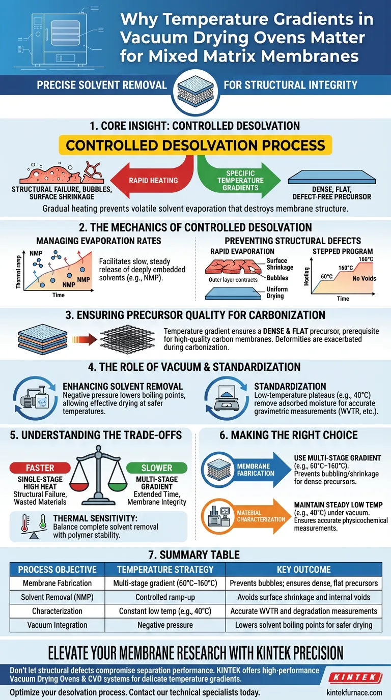Perché vengono utilizzati specifici gradienti di temperatura in un forno di essiccazione sottovuoto? Preparazione di membrane a matrice mista master Guida Visiva