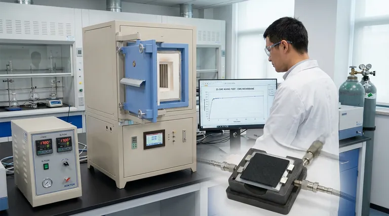 Come aiutano le apparecchiature di controllo ambientale nella valutazione delle membrane CMS? Sblocca la precisione nei test di invecchiamento fisico