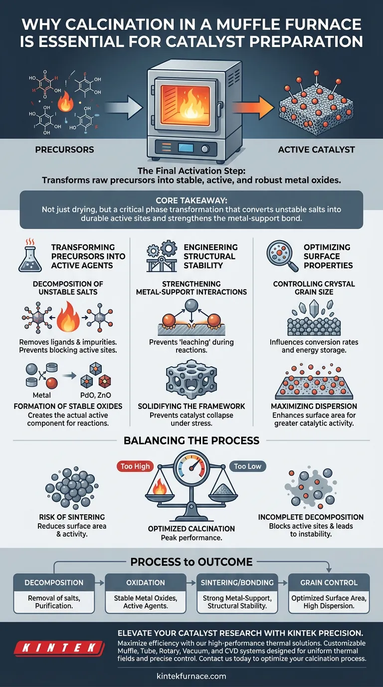 Why is the calcination process in a muffle furnace essential for catalyst preparation? Unlock Peak Chemical Activity Visual Guide