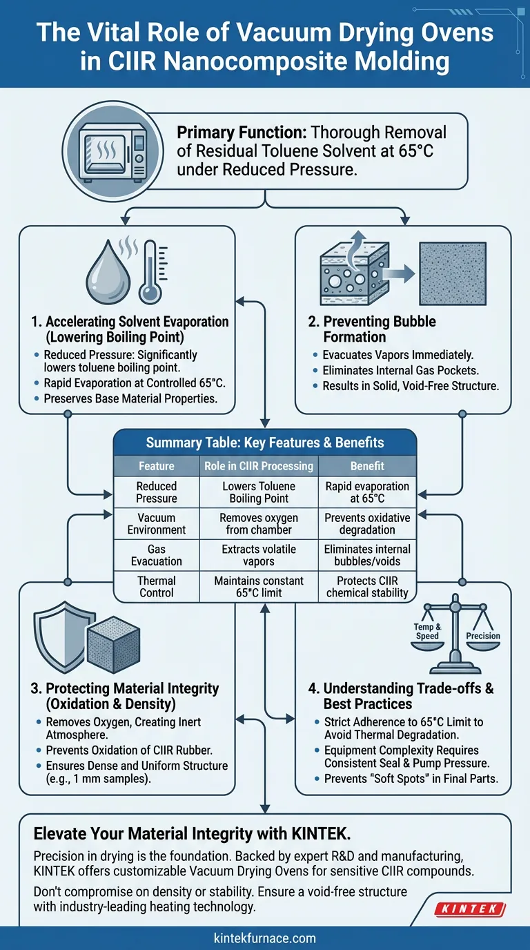Was ist die Hauptfunktion eines Vakuumtrockenschranks beim Gießen von CIIR-Nanokompositen? Optimieren Sie Ihre Lösungsmittelentfernung Visuelle Anleitung