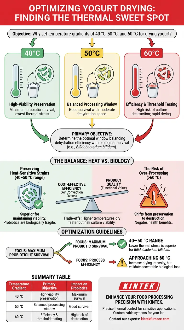 Quel est l'objectif de la définition de gradients de température de 40 °C, 50 °C et 60 °C ? Optimiser la viabilité du yaourt séché Guide Visuel