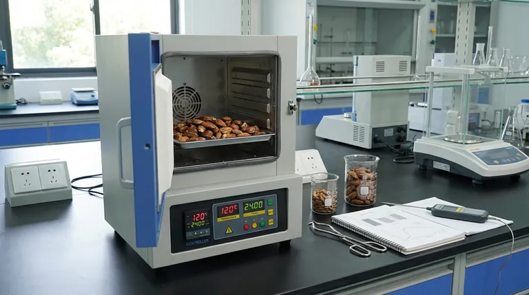 DPKB-S 준비에서 강제 대류 오븐의 역할은 무엇인가요? 바이오차 합성 및 재료 순도 최적화