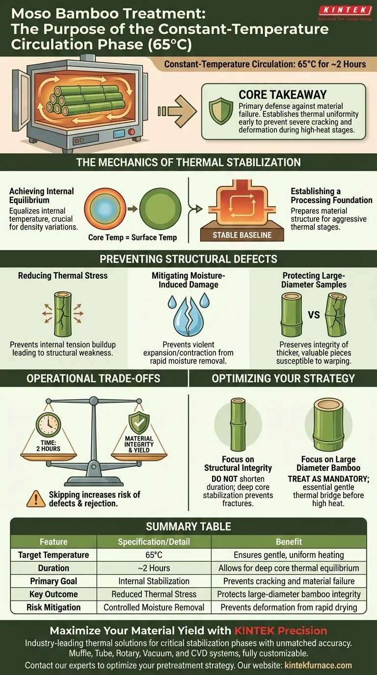 ¿Cuál es el propósito de la fase de circulación a temperatura constante? Garantice la integridad del bambú Moso con las soluciones KINTEK Guía Visual