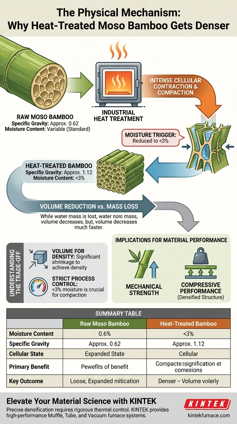 是什么导致了毛竹比重增加？掌握热处理中的细胞致密化 图解指南
