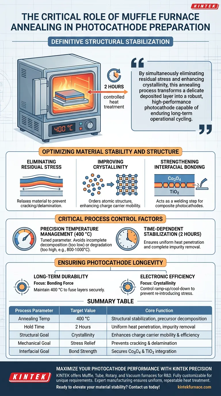 在马弗炉中进行退火在光电阴极制备中扮演什么角色？确保稳定性和长期可靠性 图解指南